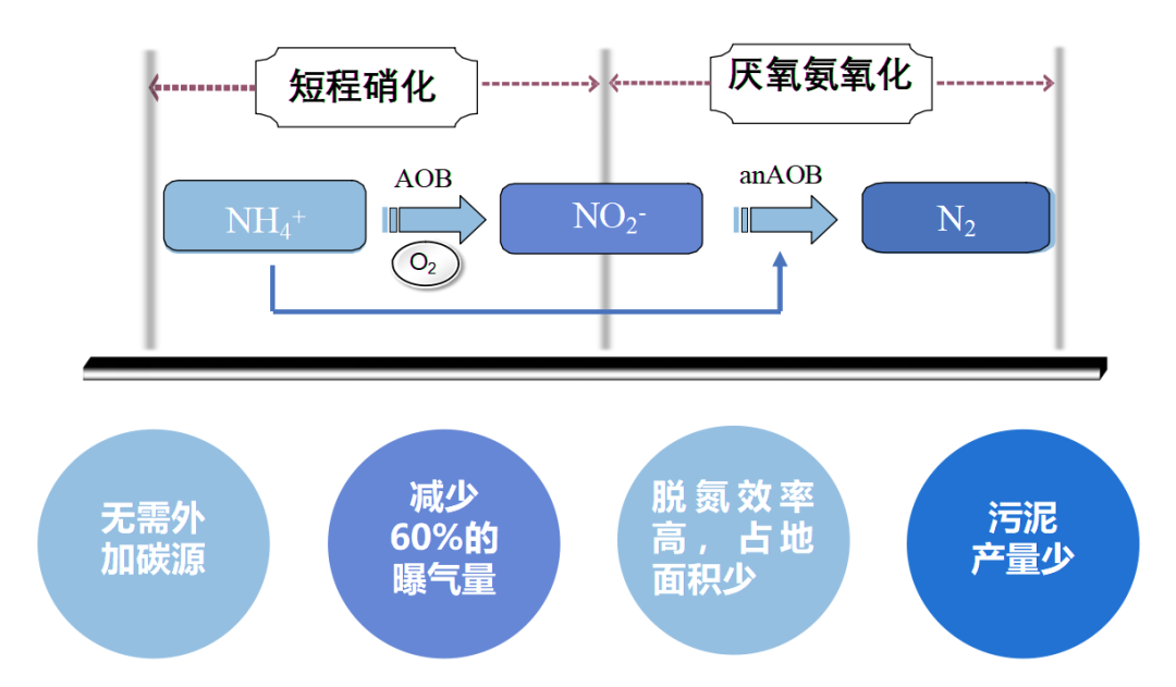 尊时凯龙·(中国区)人生就是搏!