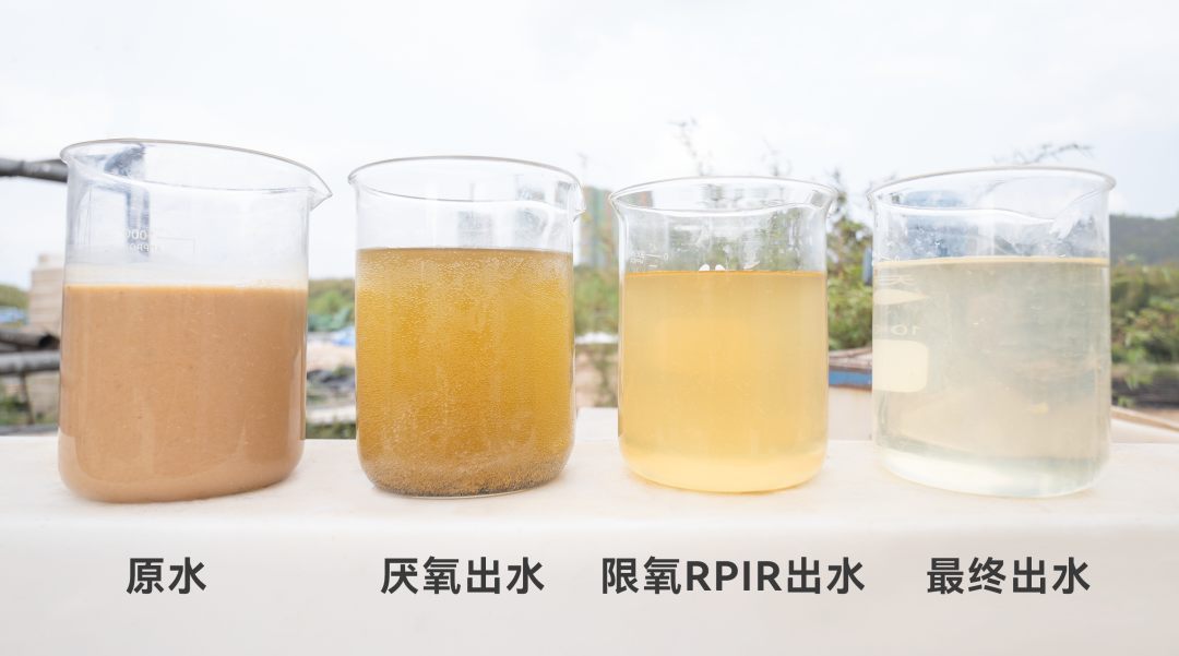 尊时凯龙·(中国区)人生就是搏!