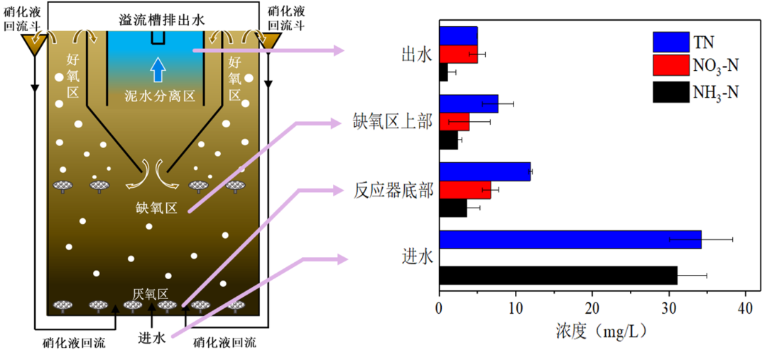 尊时凯龙·(中国区)人生就是搏!