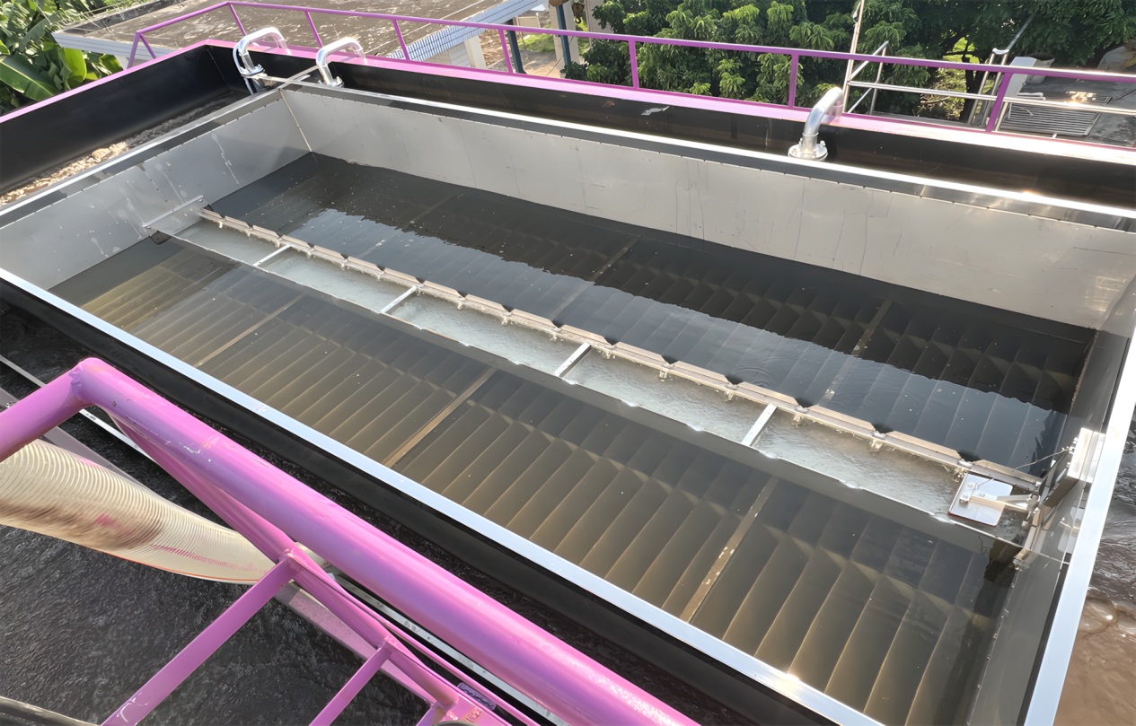 尊时凯龙·(中国区)人生就是搏!